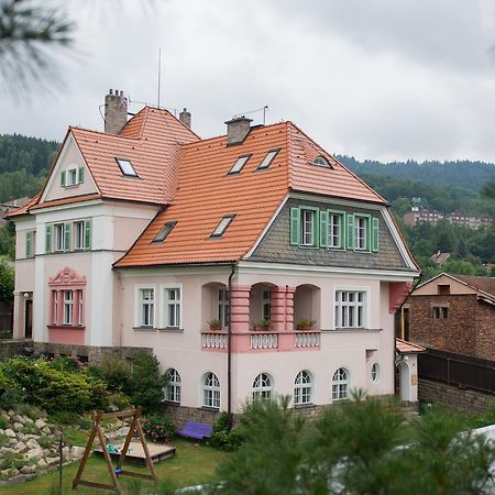 Hotel Penzion Signum Laudis Velké Hamry Exteriér fotografie
