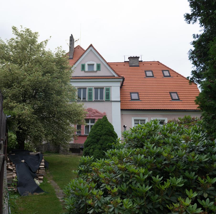 Hotel Penzion Signum Laudis Velké Hamry Exteriér fotografie